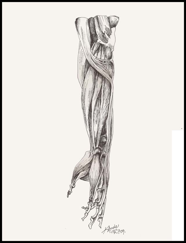 Full Size Image