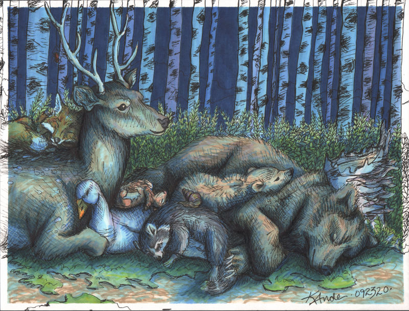 Full Size Image