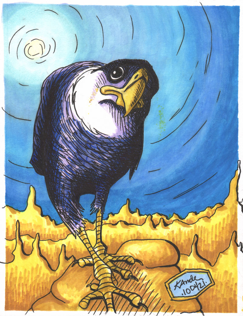 Full Size Image