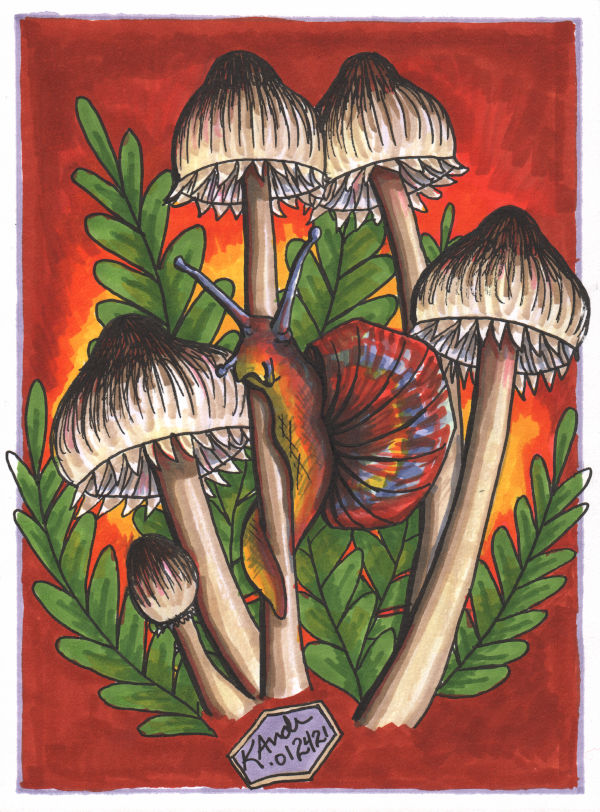 Full Size Image