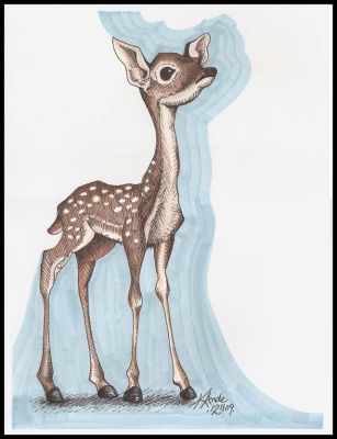 Fawn